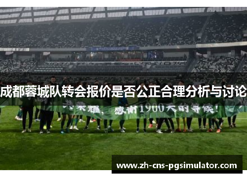成都蓉城队转会报价是否公正合理分析与讨论